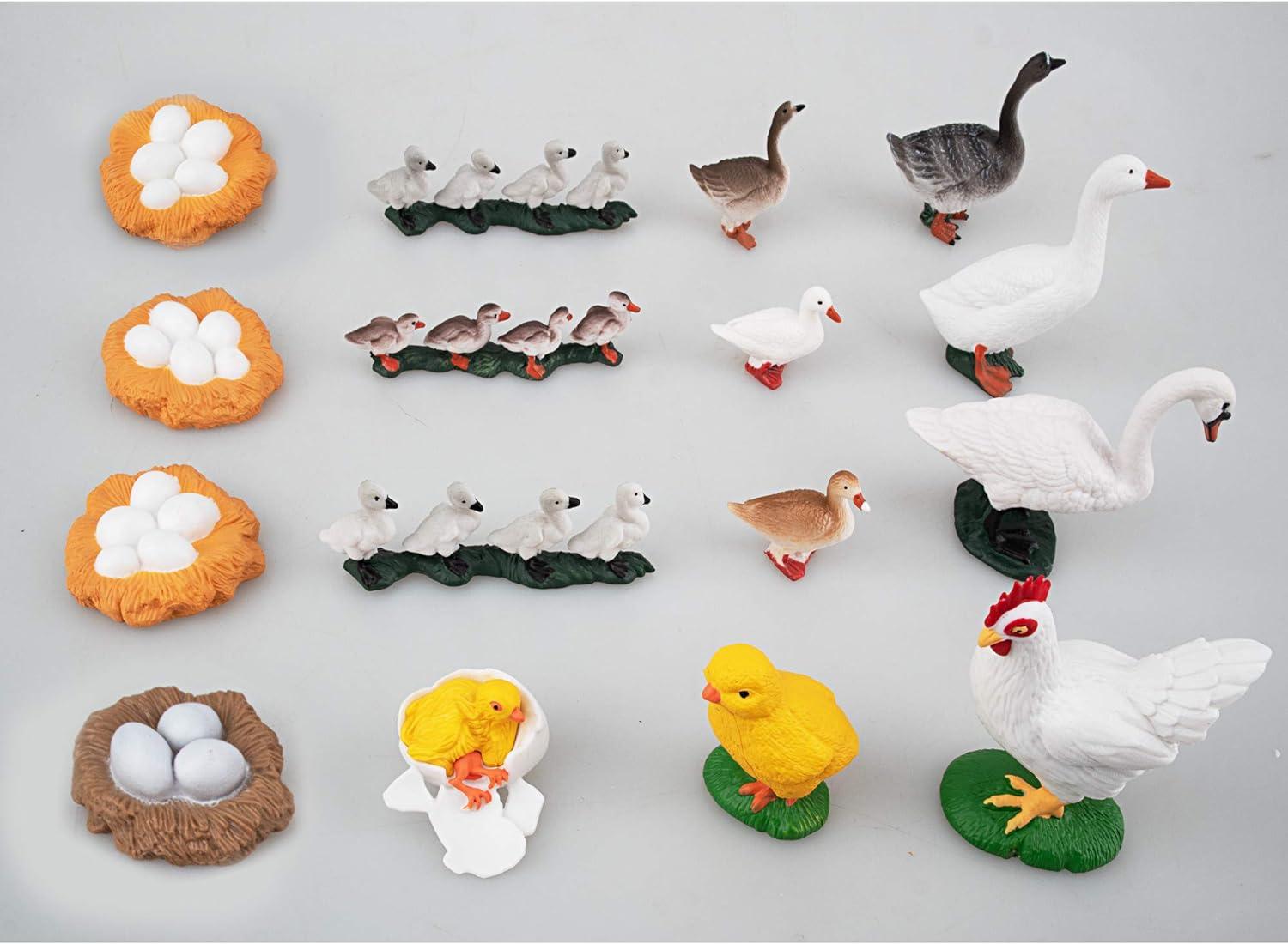 TOYMANY 16PCS Farm Animals Figurines Life Cycle of Chicken Hen Duck Goose White Swan, Plastic Safariology Growth Cycle Eggs Figures Toy Kit School Project Cake Topper for Kids Toddlers