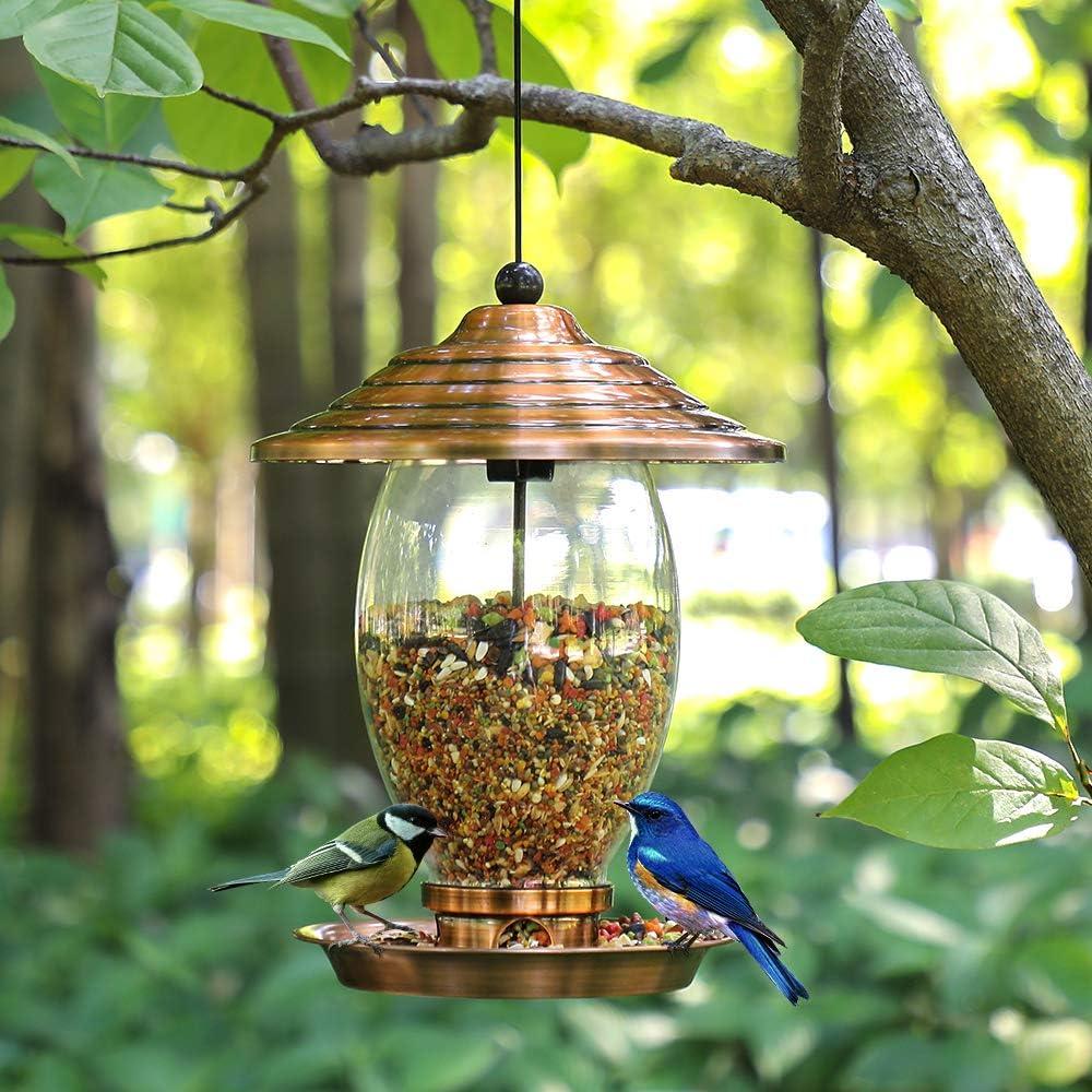 REALEAD Metal and Glass Wild Bird Feeder for Outside - 3 lbs Seed Capacity, Outdoor Hanging for Garden Yard