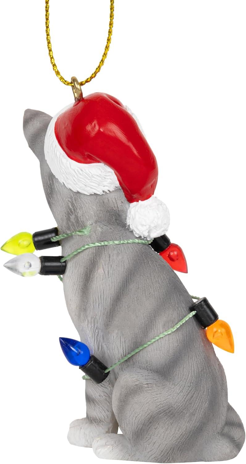 Charlton Home® Santa Cat Ornament