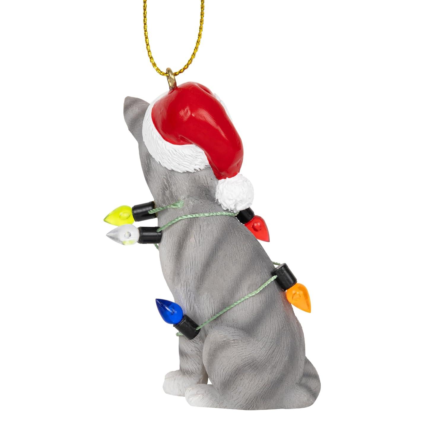 Charlton Home® Santa Cat Ornament