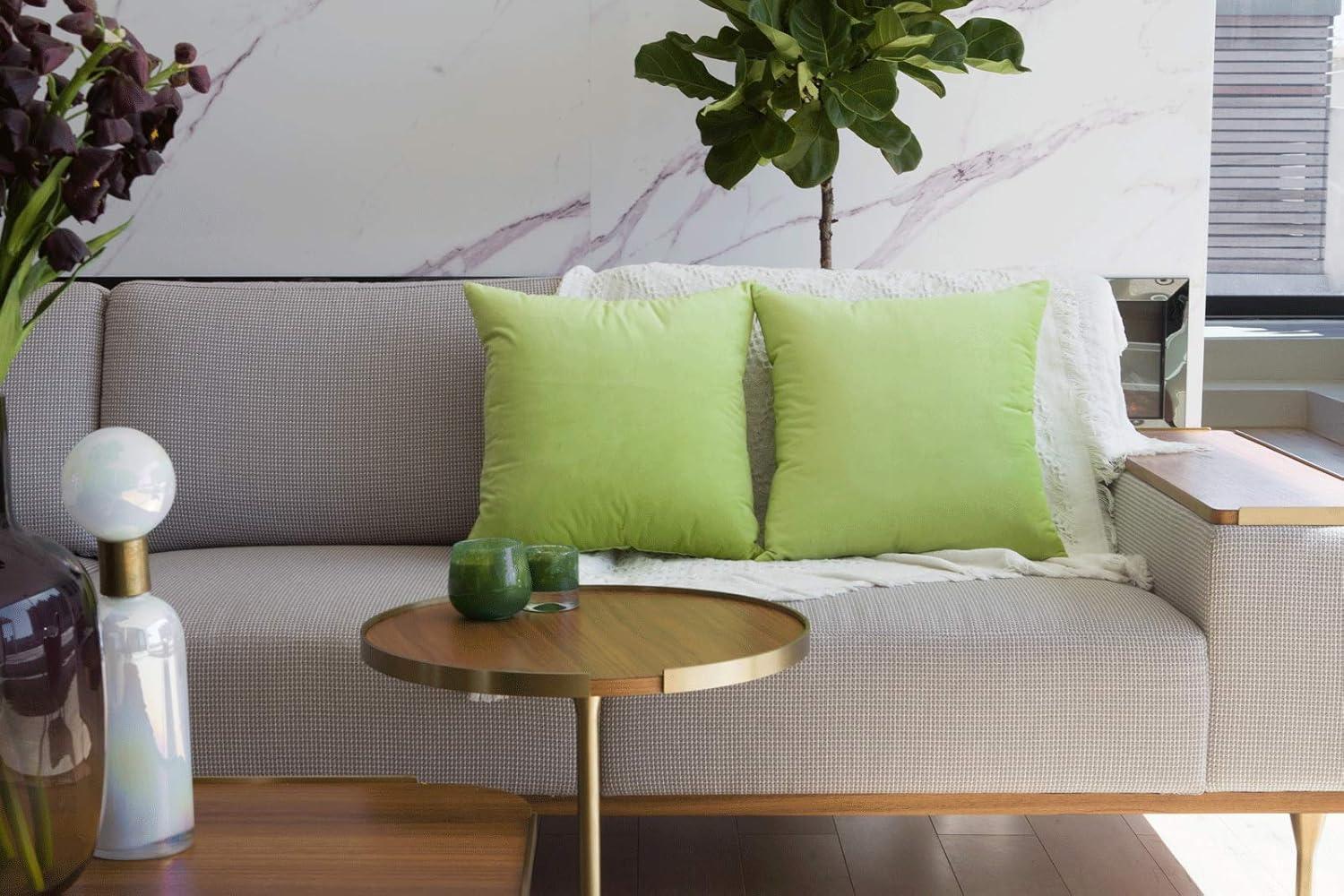 Cterwk Pack of 2 Velvet Decorative Throw Pillow Covers Soft Solid Square Cushion Cover Pillow for Living Room, Bedroom, Office, 20 x 20 inches