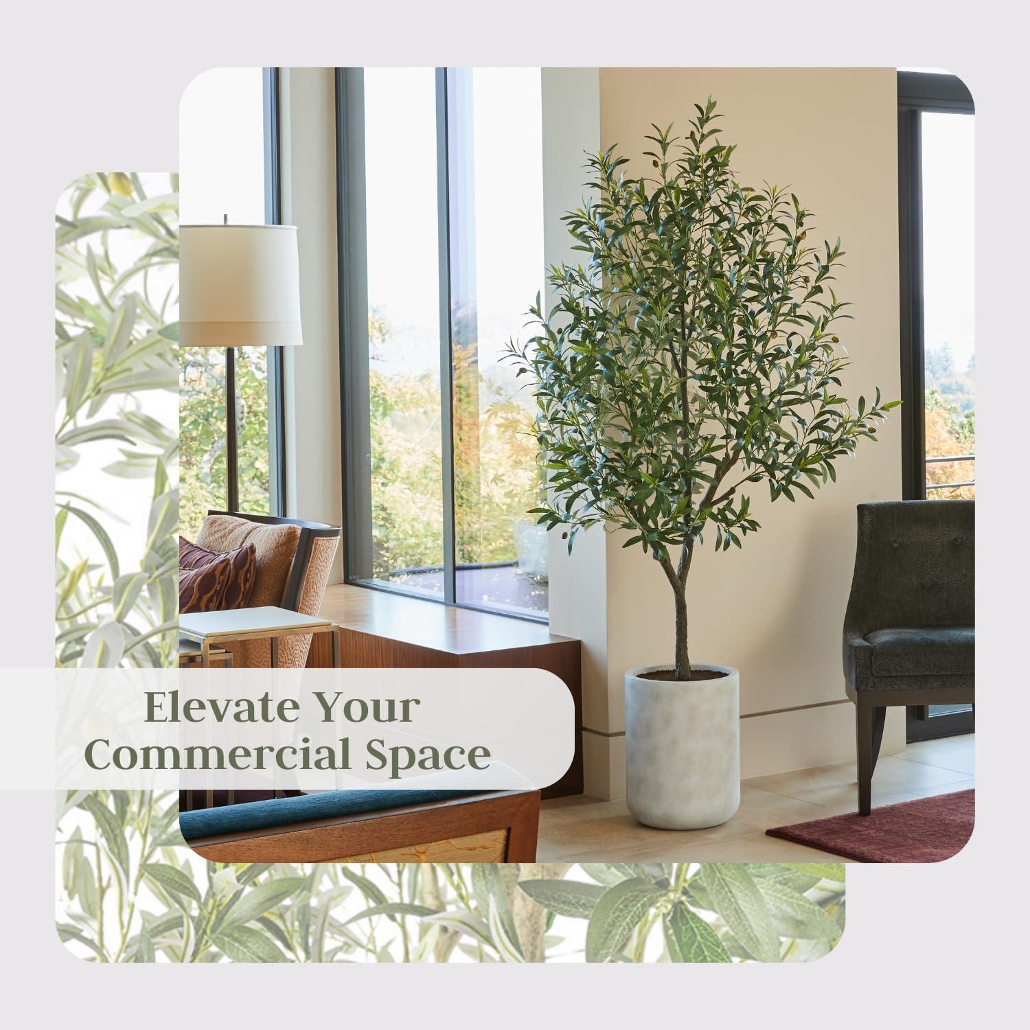 CG Hunter 7FT Olive Tree KD