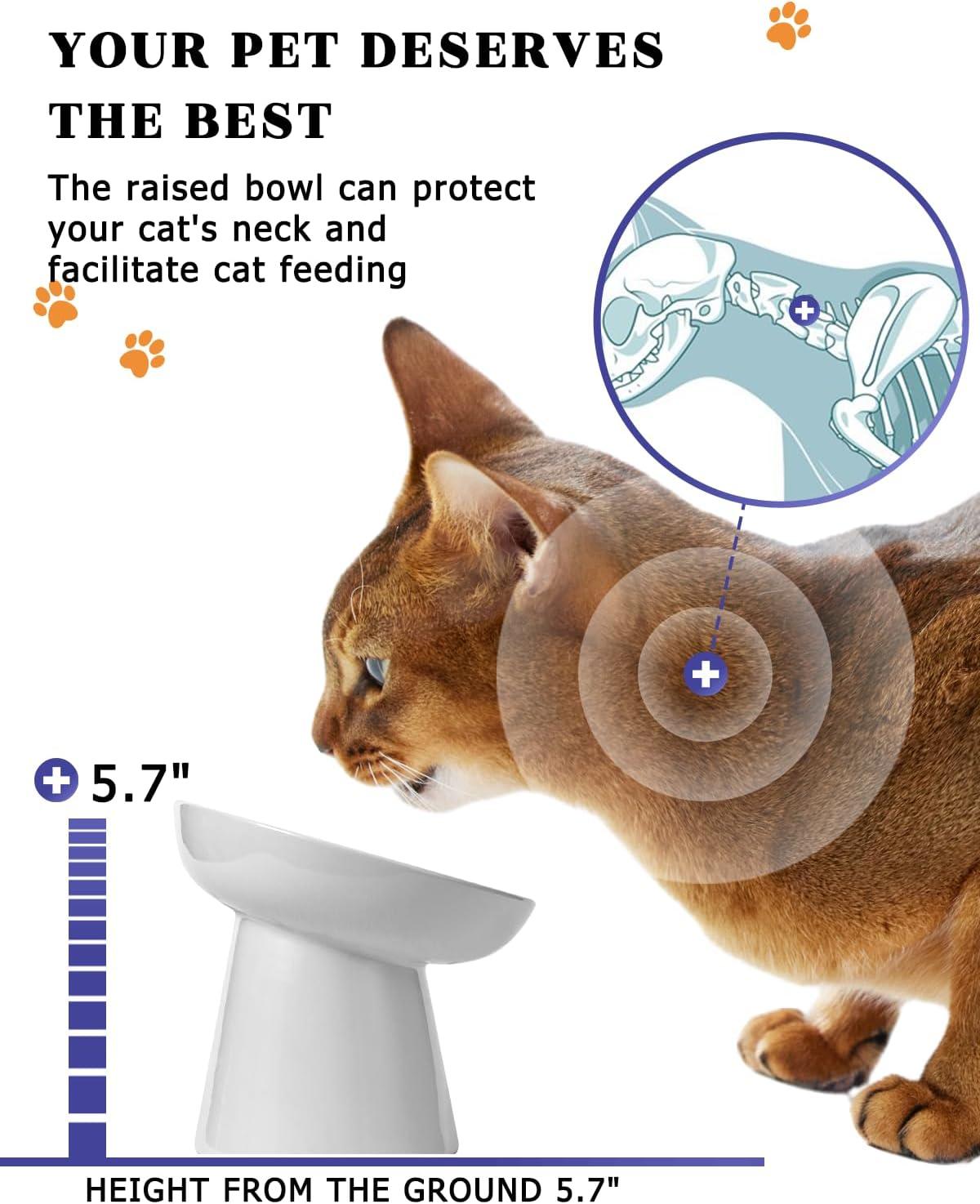 Y YHY Pet Feeder, Ceramic Cat Slow Feeder Bowl, 6 Inches, Elevated, Anti Vomiting for Dry and Wet Food, White C9