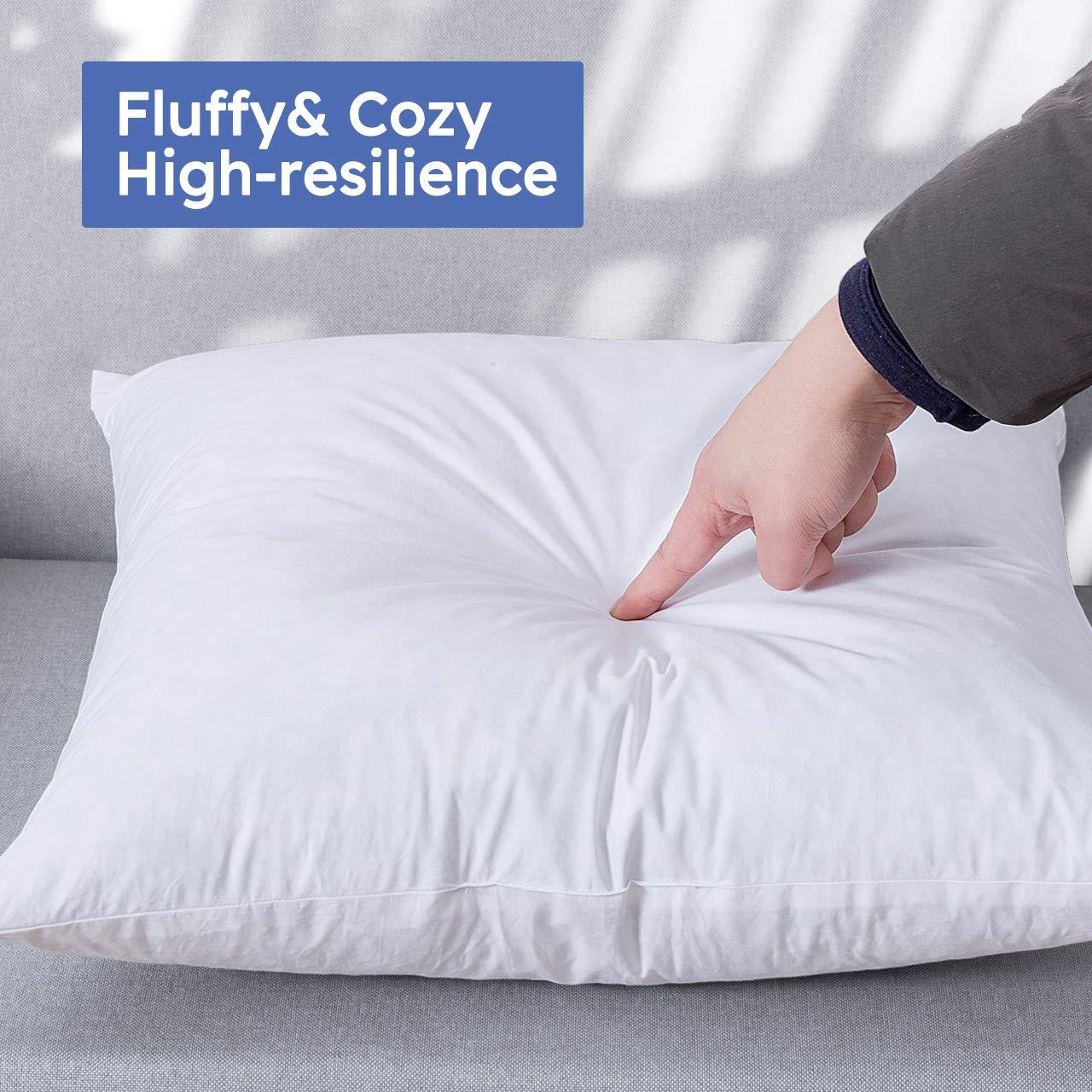 Feather Reversible Pillow Insert