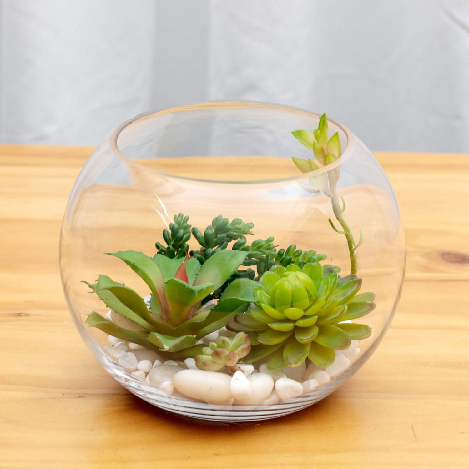 WGV Bowl Glass Vase, Diameter 10", Height 8", Open Width 6", (Multiple Sizes Choices) Clear Bubble Planter Terrarium Fish Bowl for Wedding Event Home Decor, 1 Piece (VBW0010)