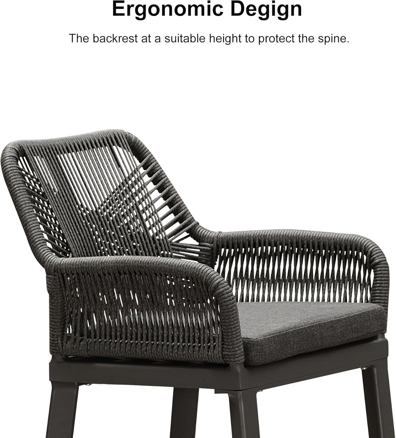 PURPLE LEAF Outdoor Wicker 29" Bar Stools Set of 2, Boho Patio Bar Height Chair with Cushion and Back for Outdoor and Indoor, Garden, Patio, Smoke Grey