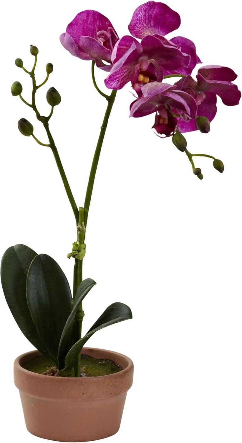 Nearly Natural Phalaenopsis Orchid with Clay Vase (Set of 4)