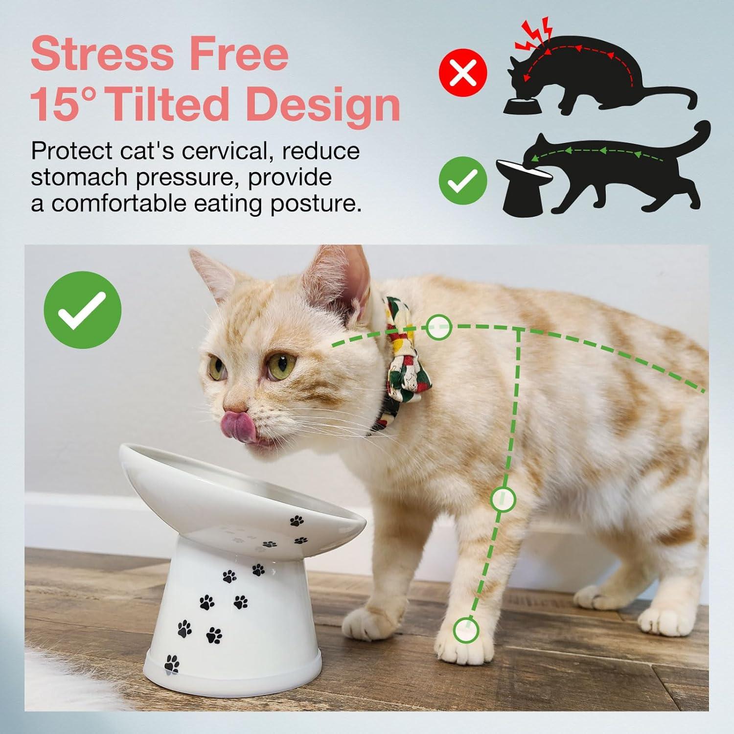 Tilted Stress Free Raised Cat Food Bowl