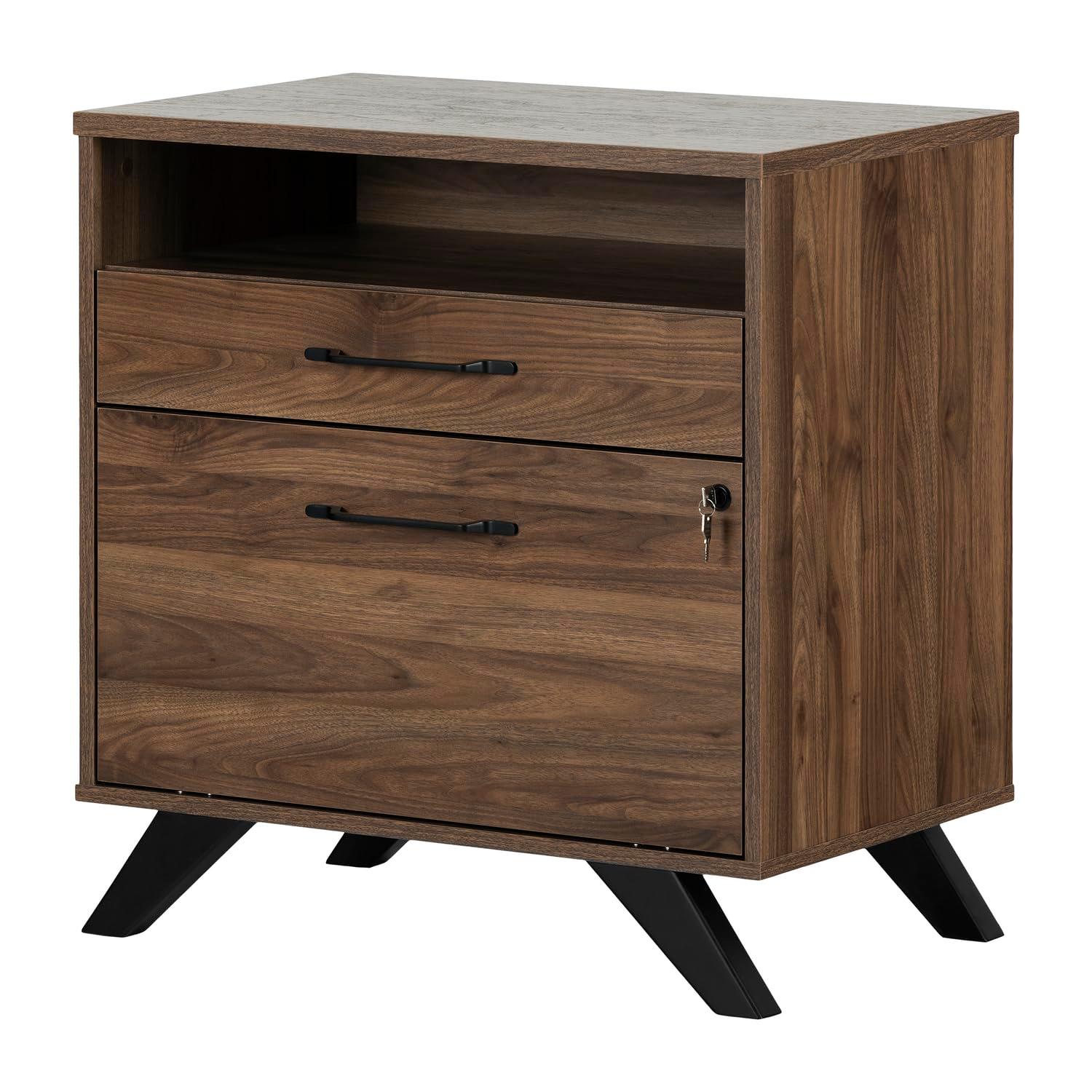Ivy Bronx Boneita 29'' Wide 2 -Drawer File Cabinet