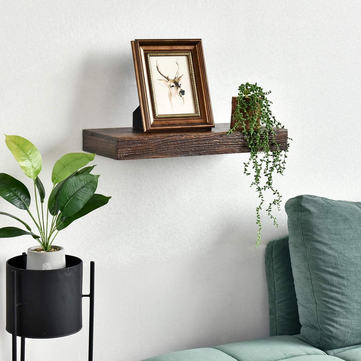 WELLAND Colin Rustic Wooden Floating Shelf Wall Mounted Shelves Display, 24"W x 10"D x 2.75"H, Walnut