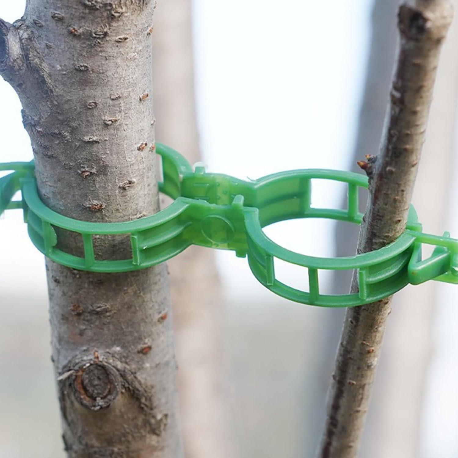 Plant Support Clips, Plastic Plant Clips for Climbing Plants, Reusable Garden Clips for Tomato and Other Vine Plants, Trellis Clips to Grow Upright Makes Plants Healthier (Green, 100pcs)