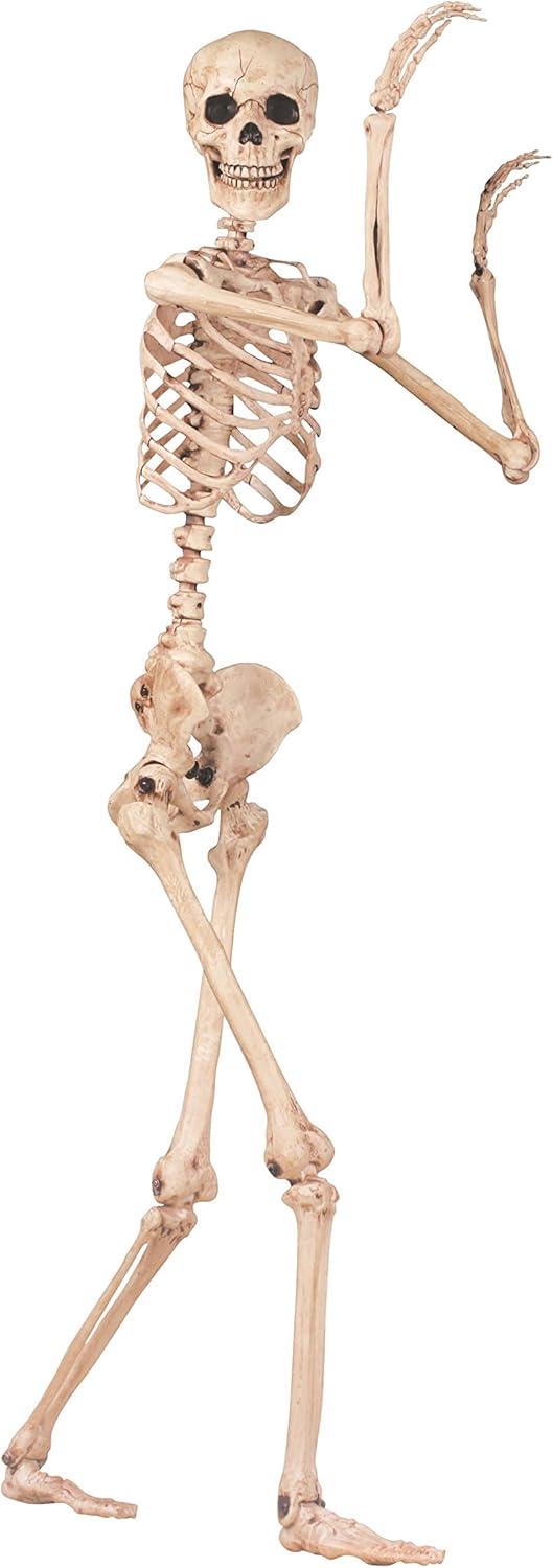 Crazy Bonez Pose-N-Stay Life Size 5 FT Skeleton with Realistic Posable and Movable Joints for Halloween Indoor and Outdoor Decoration