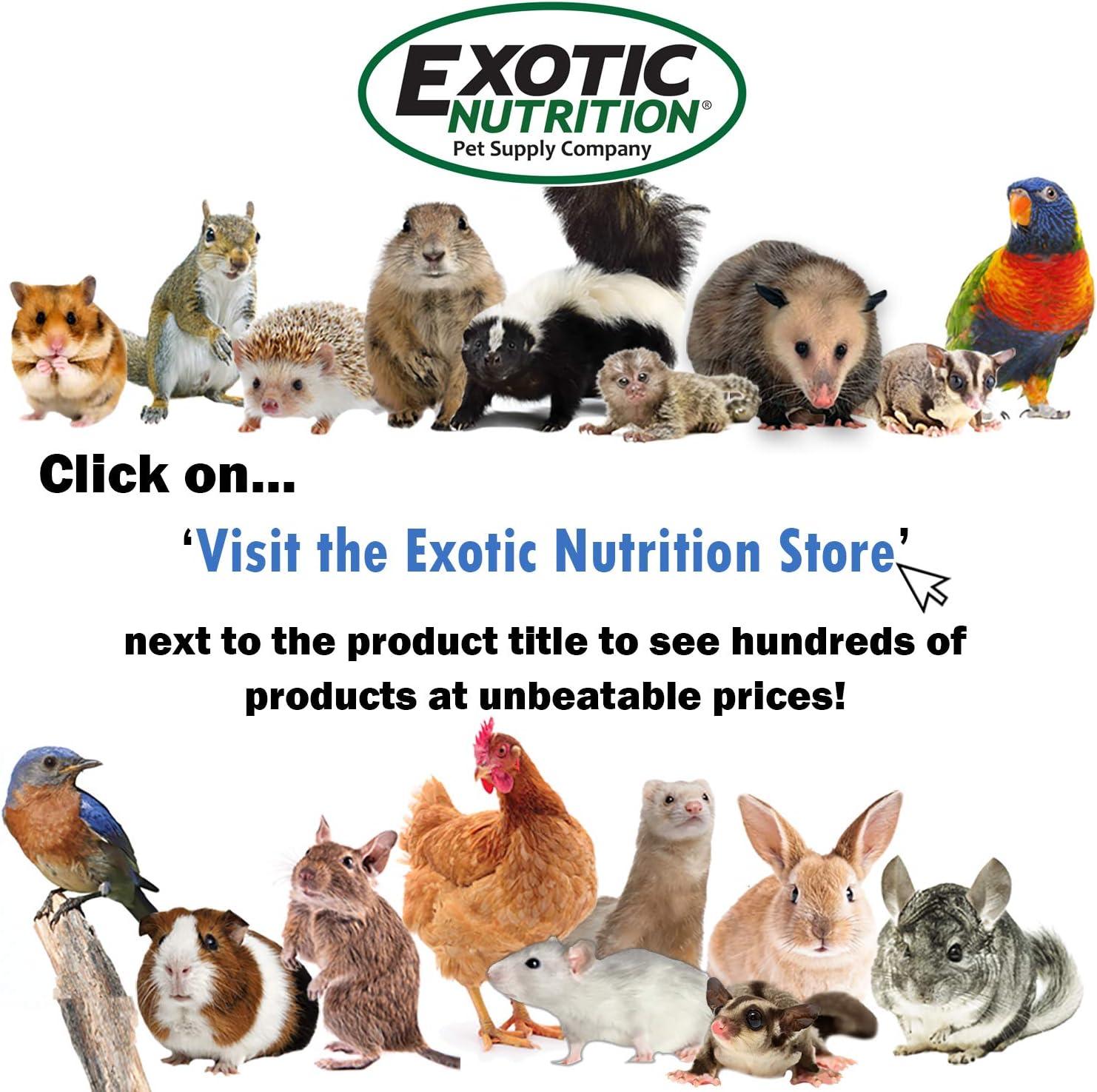 Exotic Nutrition Multi-Branch Perch (Medium) - Durable Branch Cage Accessory - Sugar Gliders, Rats, Parrots, Conures, Birds