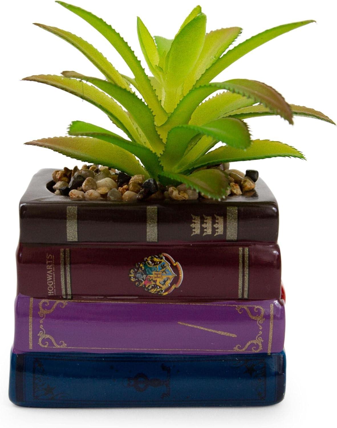 5.5'' Faux Succulent Plant in Planter