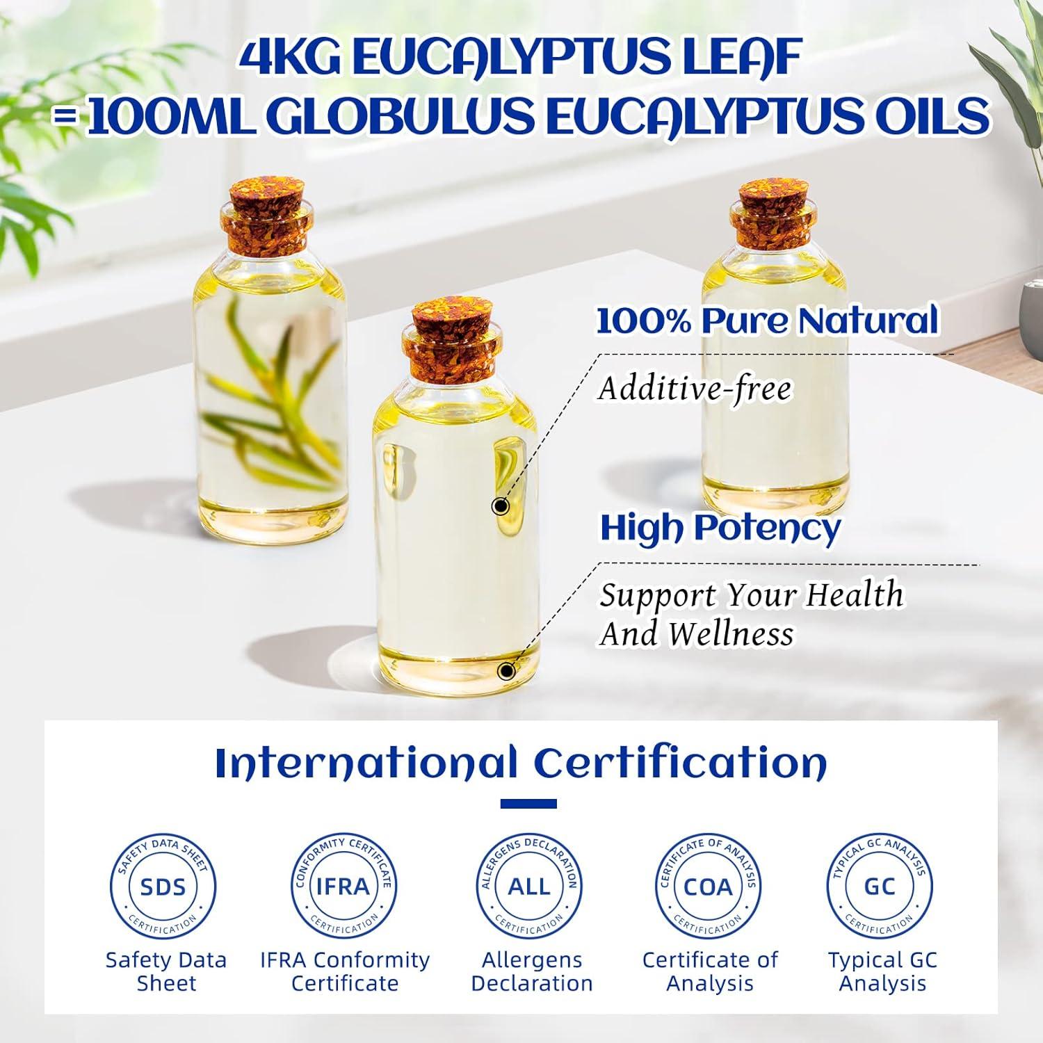 HIQILI Eucalyptus Essential Oil, Pure Undiluted Oil for Diffuser, Skin, Candles Soap Making-100mL