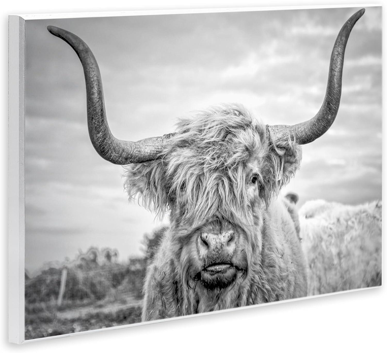 Joe Reynolds Highland Cow 15 in x 10 in Framed Photography Canvas Art Print, by Stupell Home Décor