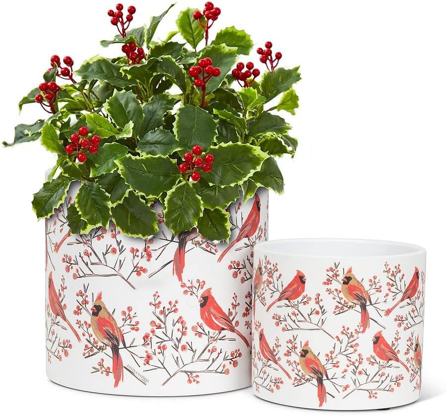 Large Cardinal Pair Planter