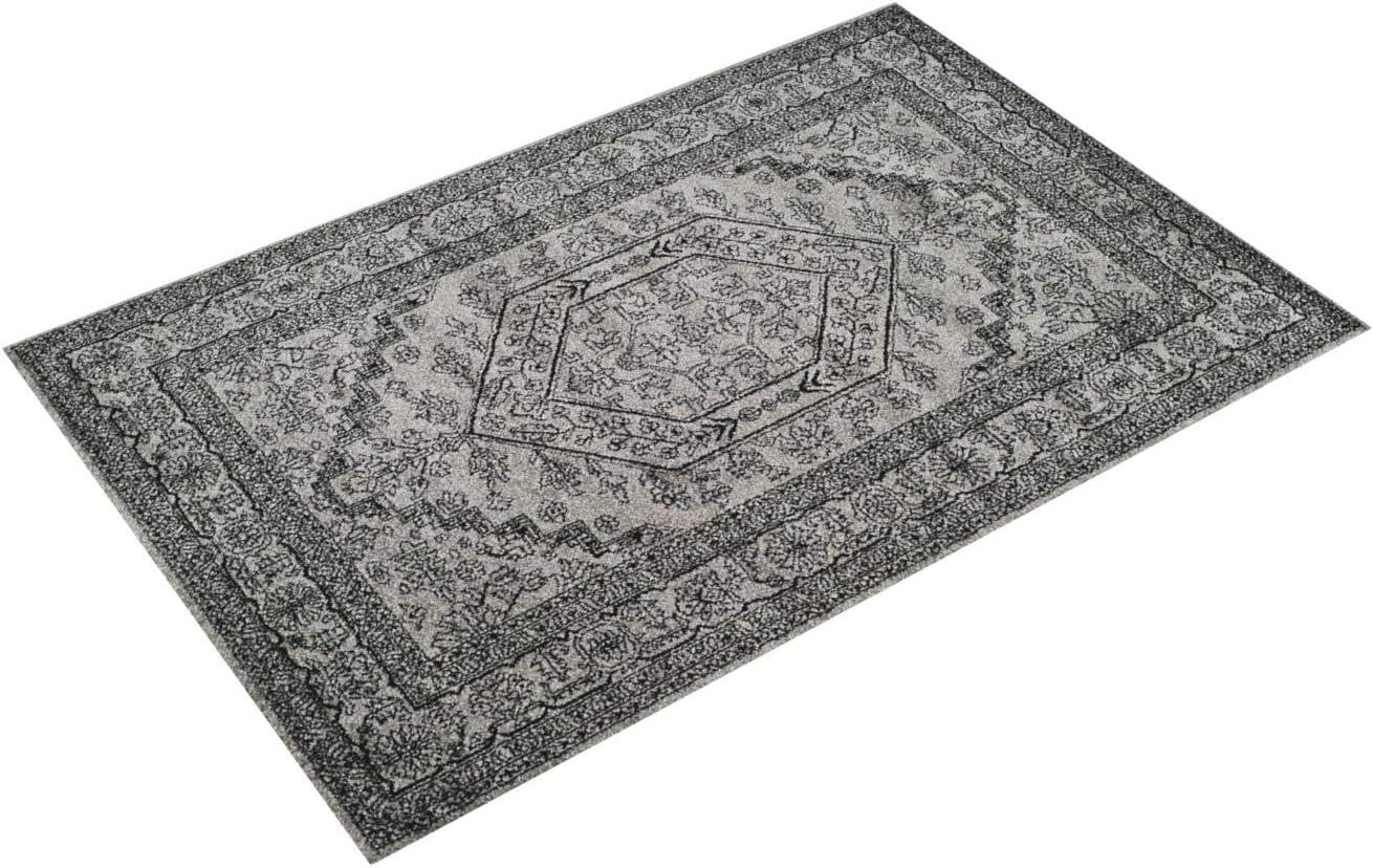 SAFAVIEH Adirondack Xavier Traditional Area Rug, Silver/Black, 12' x 18'