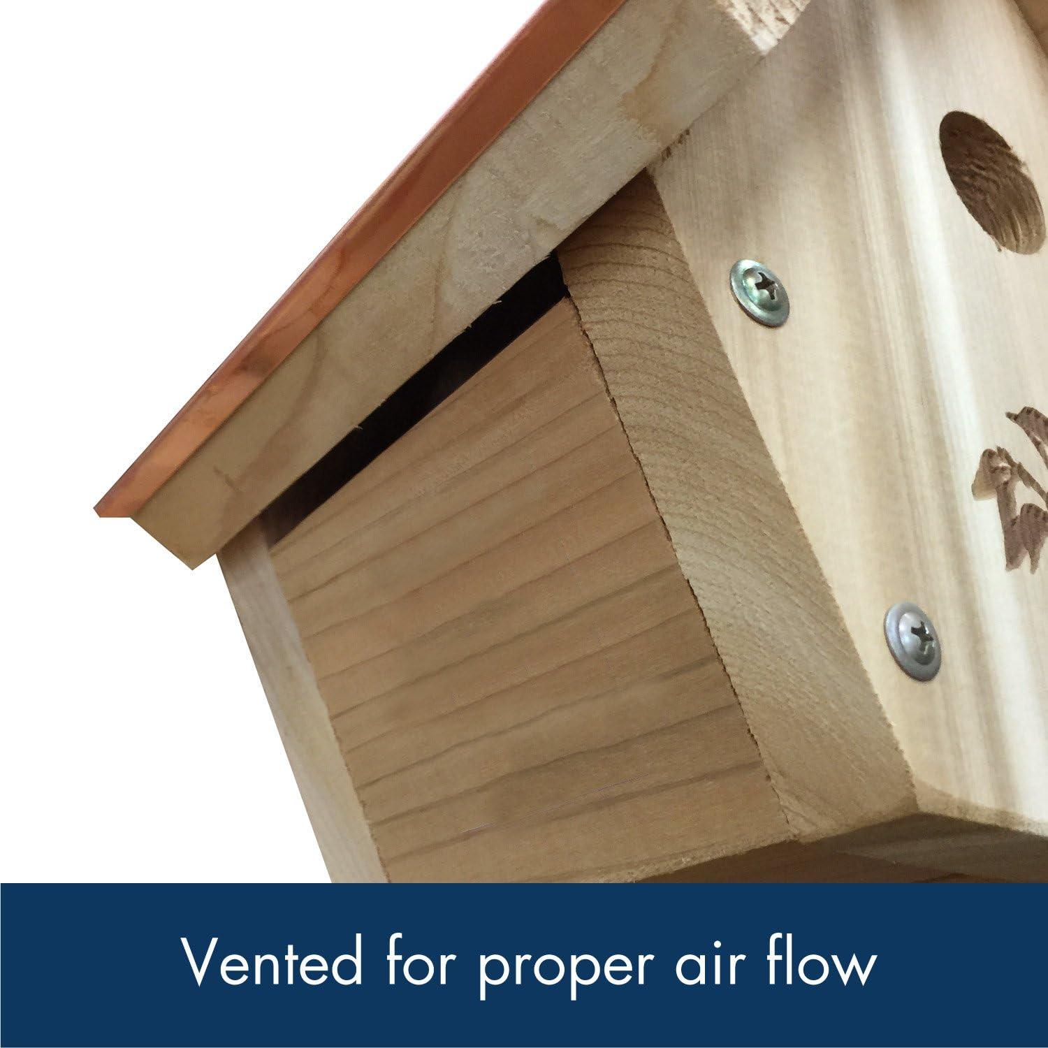 Coppertop Hanging Wild Bird House