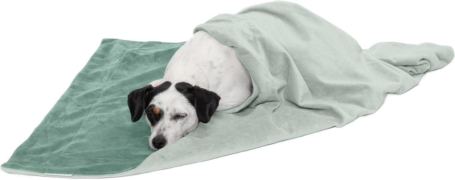 FurHaven Waterproof Faux Velvet Throw Blanket