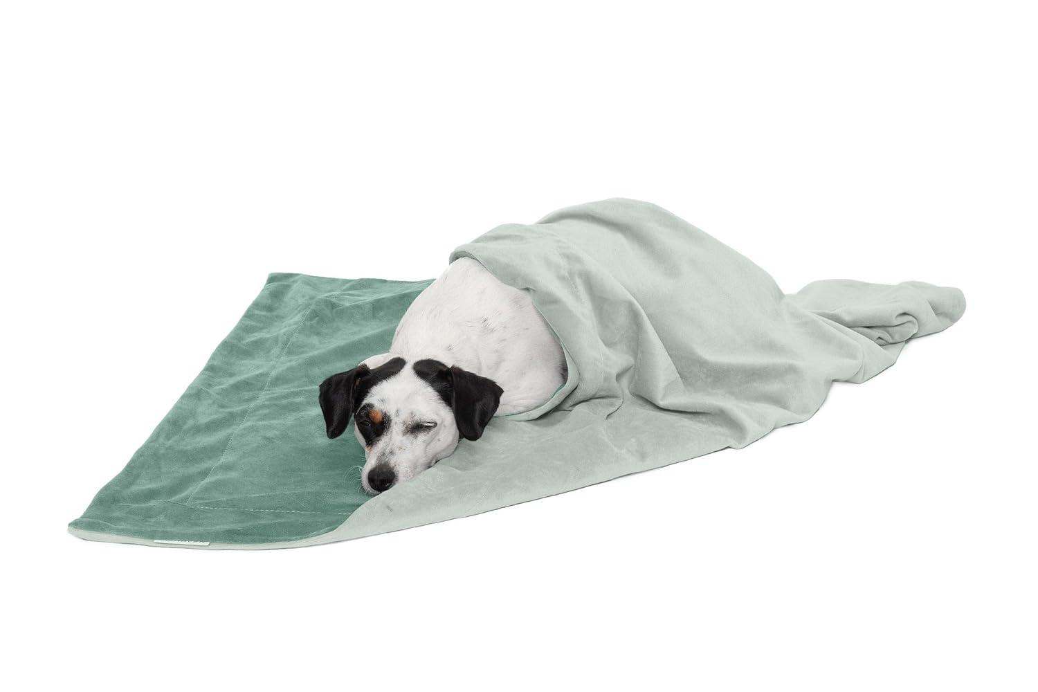FurHaven Waterproof Faux Velvet Throw Blanket