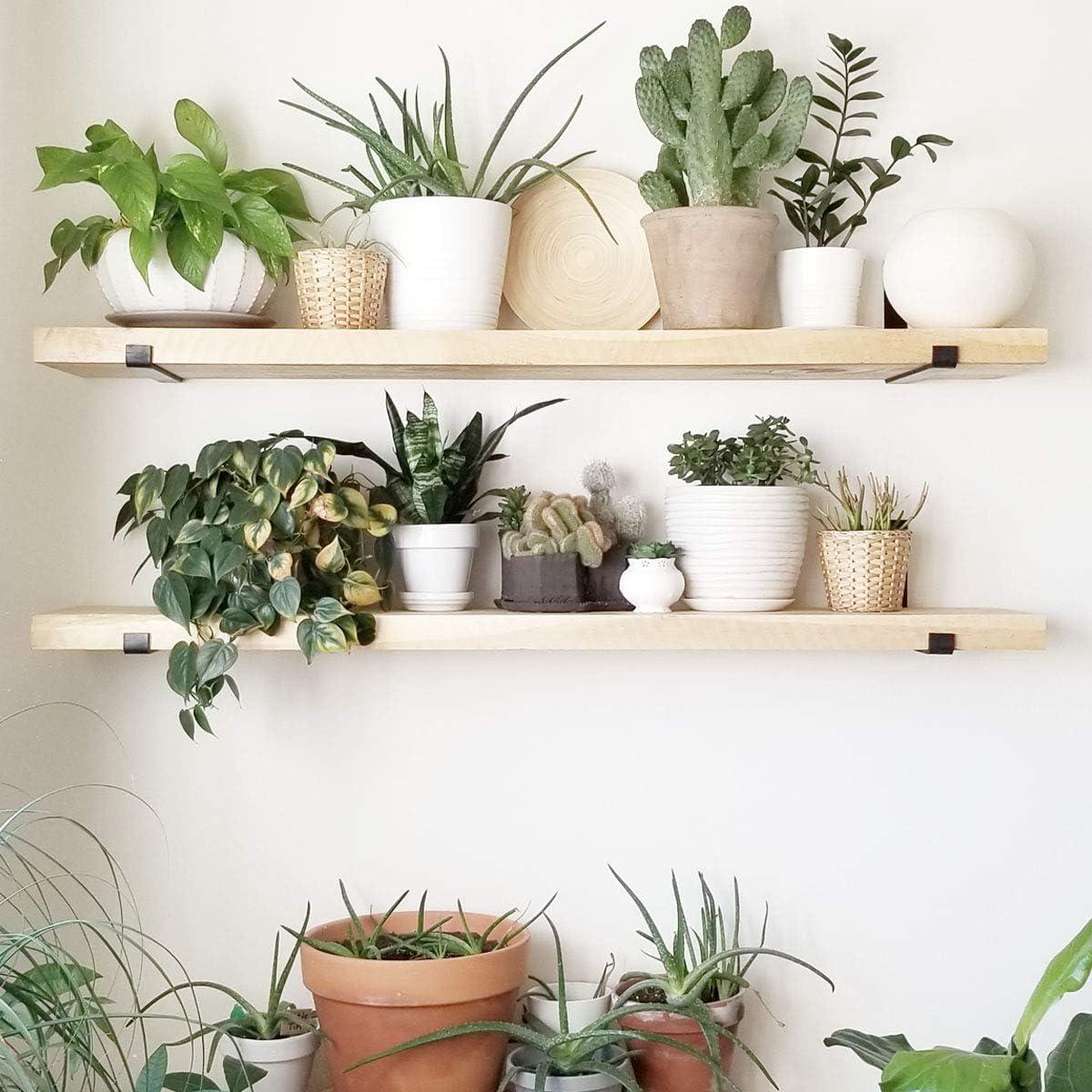 Shelf Brackets 8 Inch, Heavy Duty Black Metal Floating Shelf Bracket, Rustic Farmhouse Decorative Iron L Bracket with Lip/Hook, J Brackets Wall Angel Corner Brace for Wood Shelves - 6 Pack