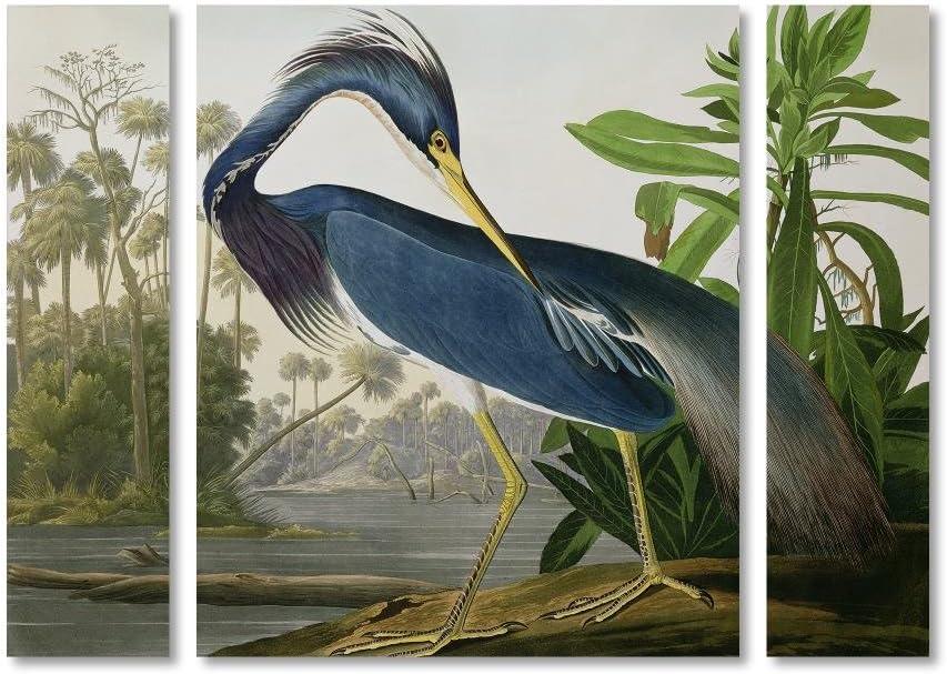 Louisiana Heron Multi-Panel Canvas Art Set