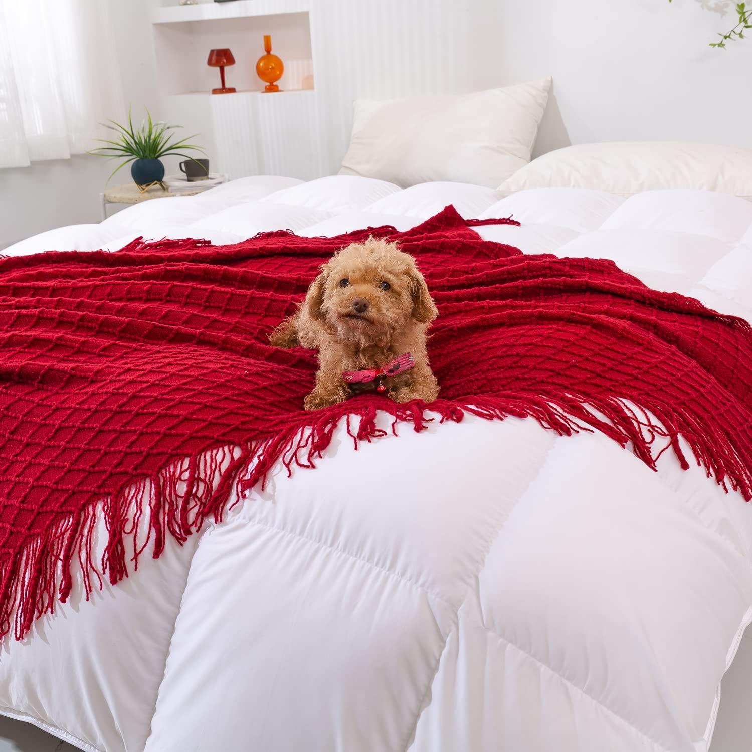 Lunarose Throw Blanket for Couch,Soft Cozy Knit Blanket,Lightweight Decorative Throw for Sofa Chair Bed Travel and Living Room-All Seasons Suitable for Women,Men and Kids (White-Wave, 50"x60")