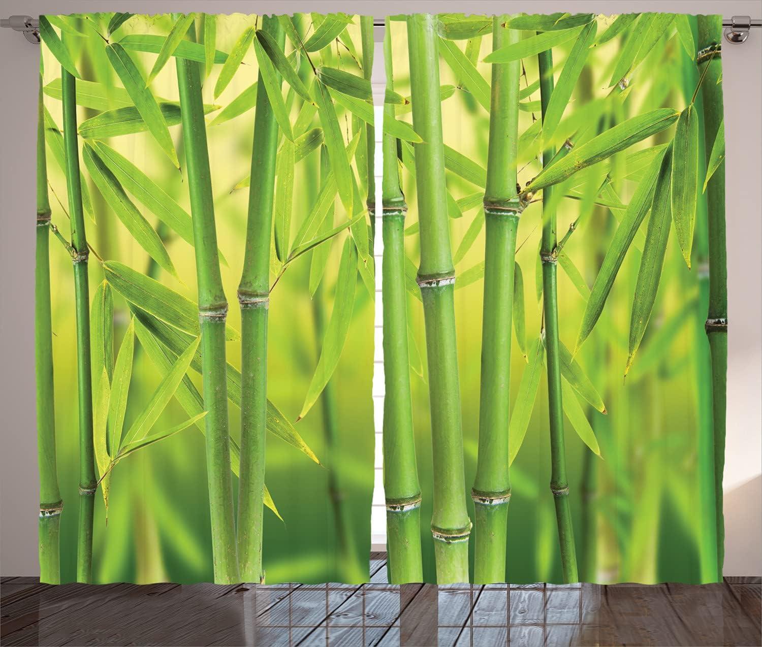 Ambesonne Fitness Curtains 2 Panel Set, Active Life and Sports Gym, 108" x 84", Multicolor