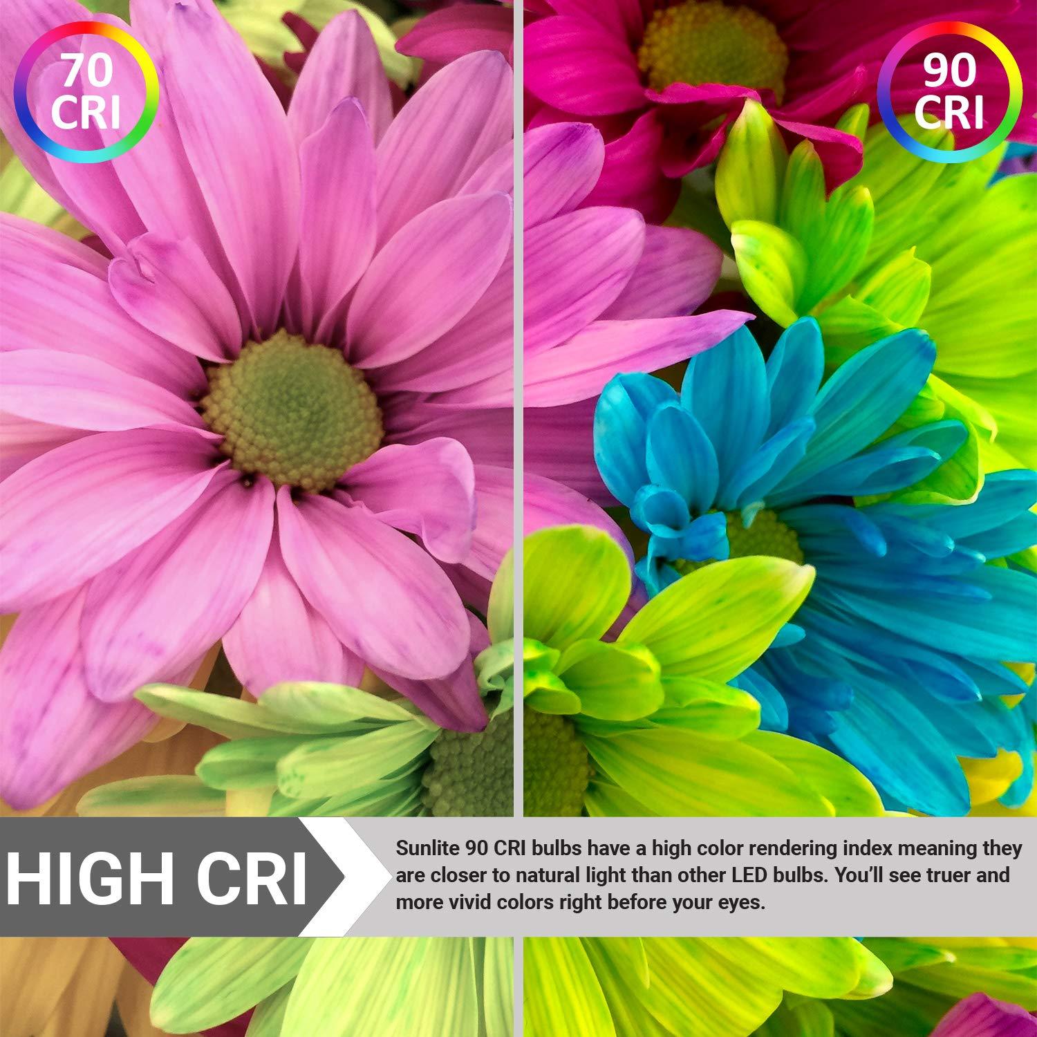 Sunlite 8.5w LED G40 Edison Globe Antique E26 Base 2700K Bulb - 100W Equiv