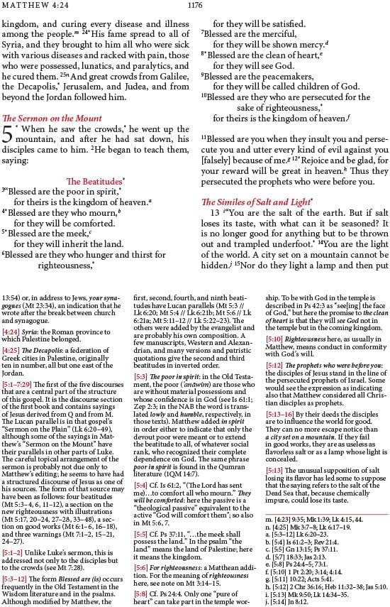 New American Bible-NABRE - by  Catholic Bible Press (Hardcover)