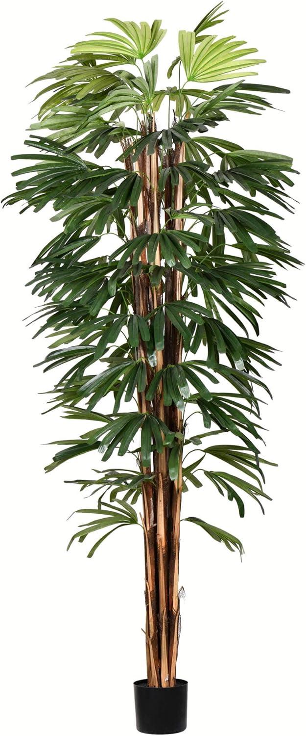 Vickerman Rhaphis Arrangement in Planter