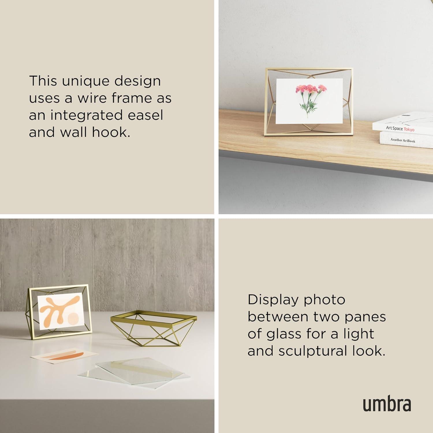 Umbra Prisma Metal Floater Picture Frame