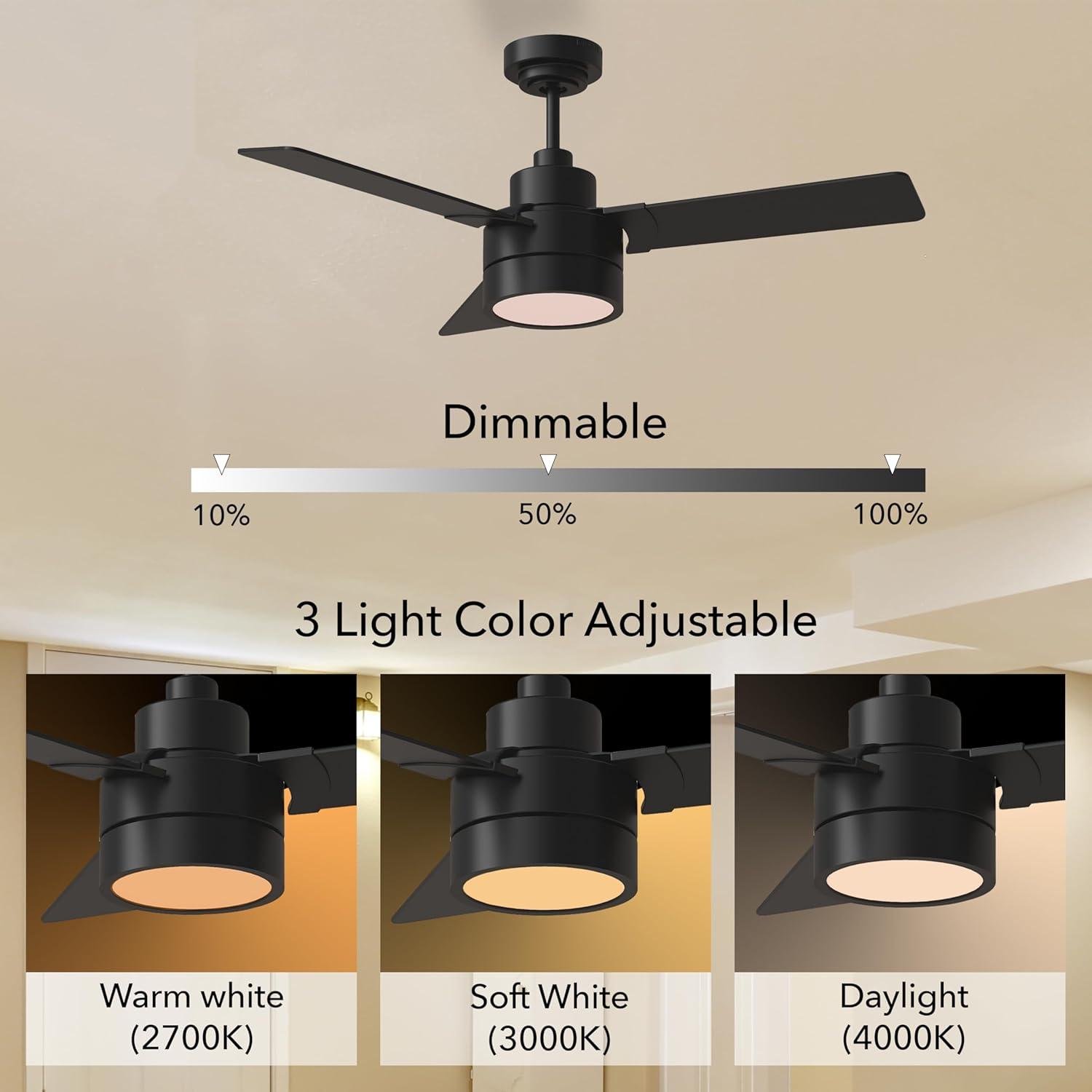 Ebie 44'' Ceiling Fan with LED Lights