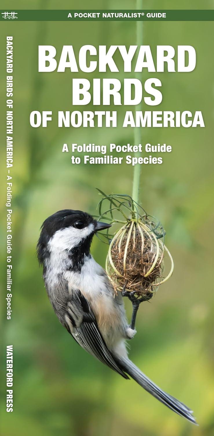 Wildlife and Nature Identification Backyard Birds of North America: A Folding Pocket Guide to Familiar Species, (Paperback)