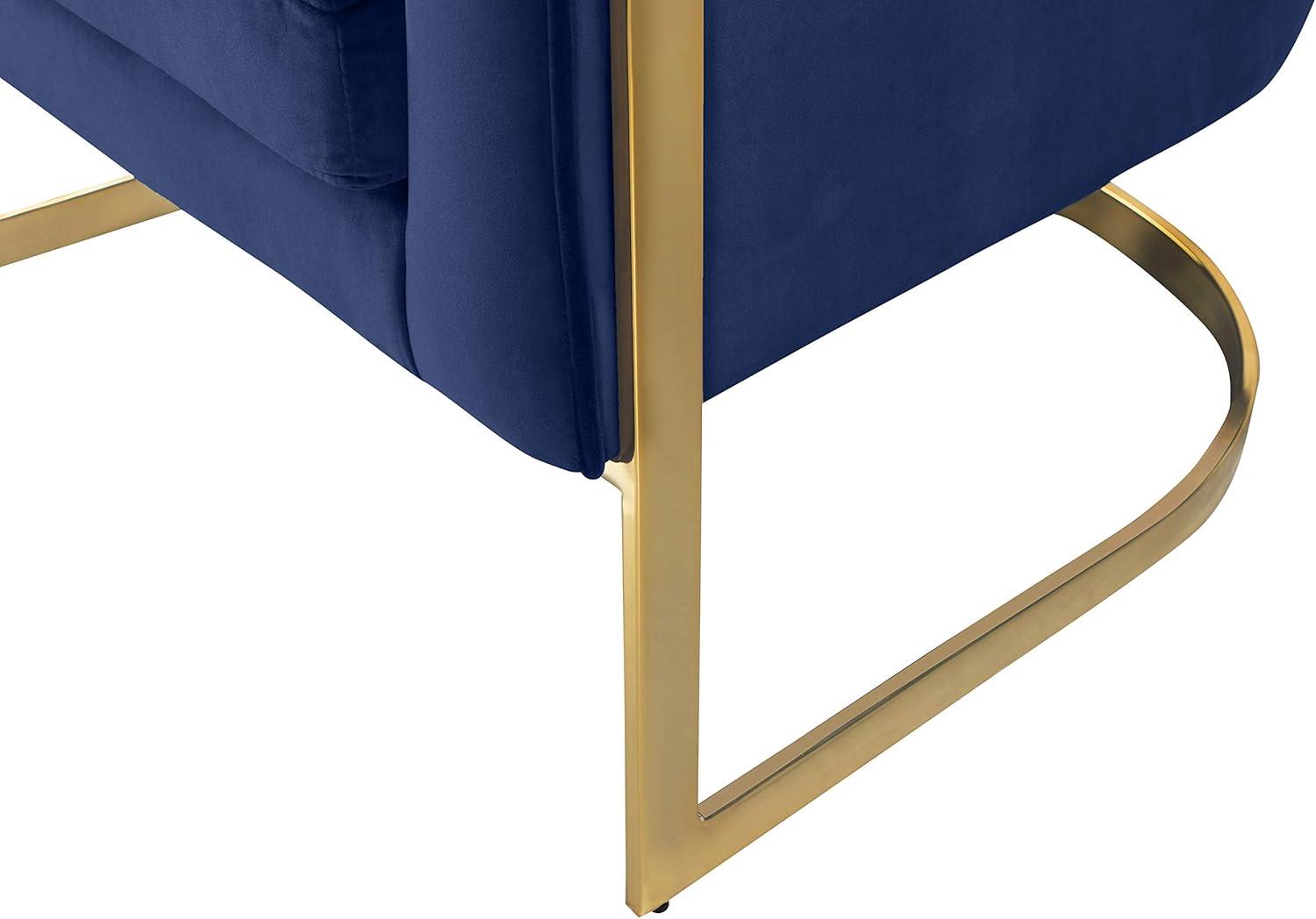 Elegant Carter Navy Velvet Accent Chair with Gold Stainless Steel Base