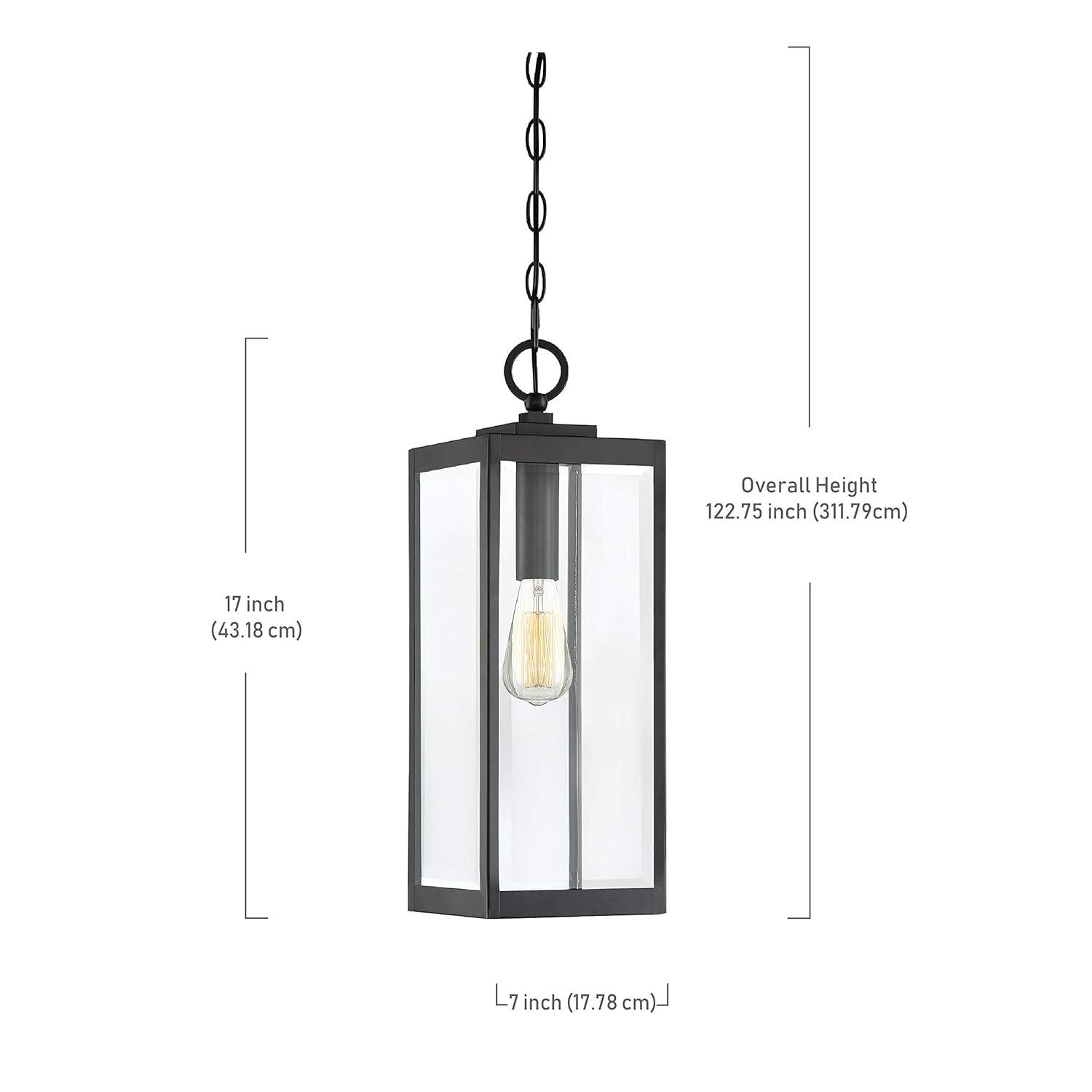Quoizel Lighting Westover 1 - Light Pendant in  Earth Black