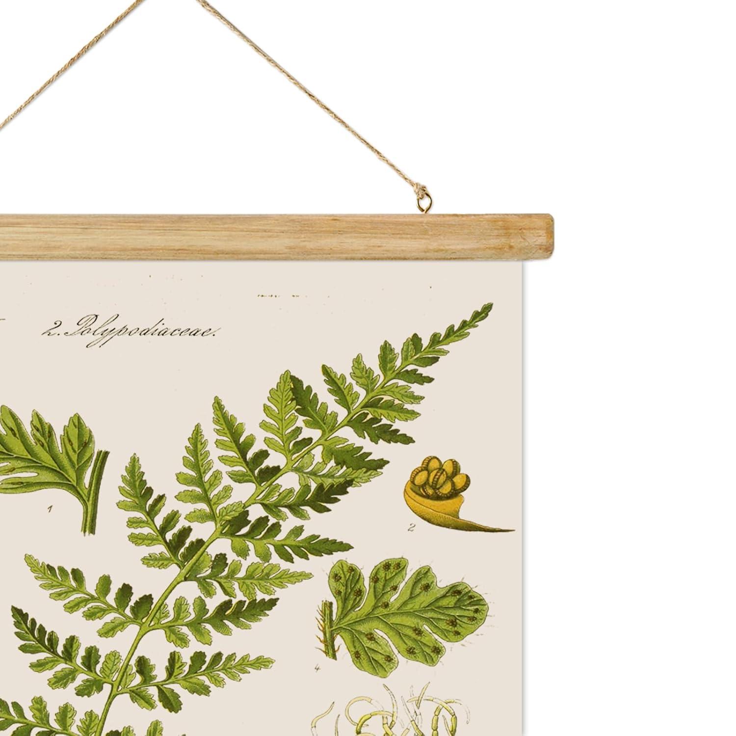 Vintage Illustrative Reference Plant Hanging Poster, Retro Style of Botanical Wall Art Prints, Printed on Linen with Wood Frames, Ready to Hang