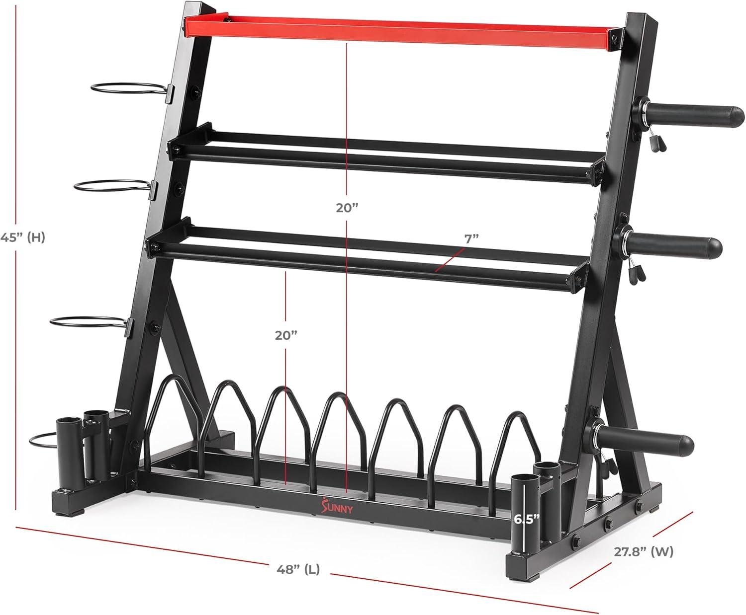 Black Multi-Weight Storage Rack Stand for Home Gym