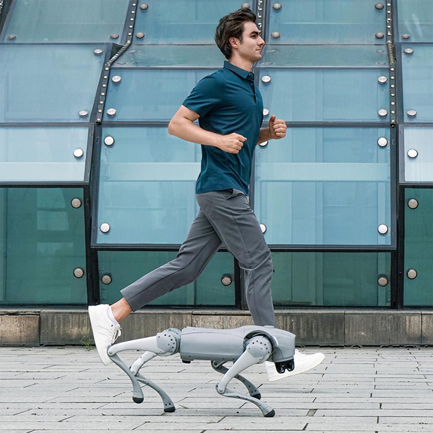 Unitree Go2 Robot Dog Quadruped Robotics for Adults Embodied AI (Go2 Air)