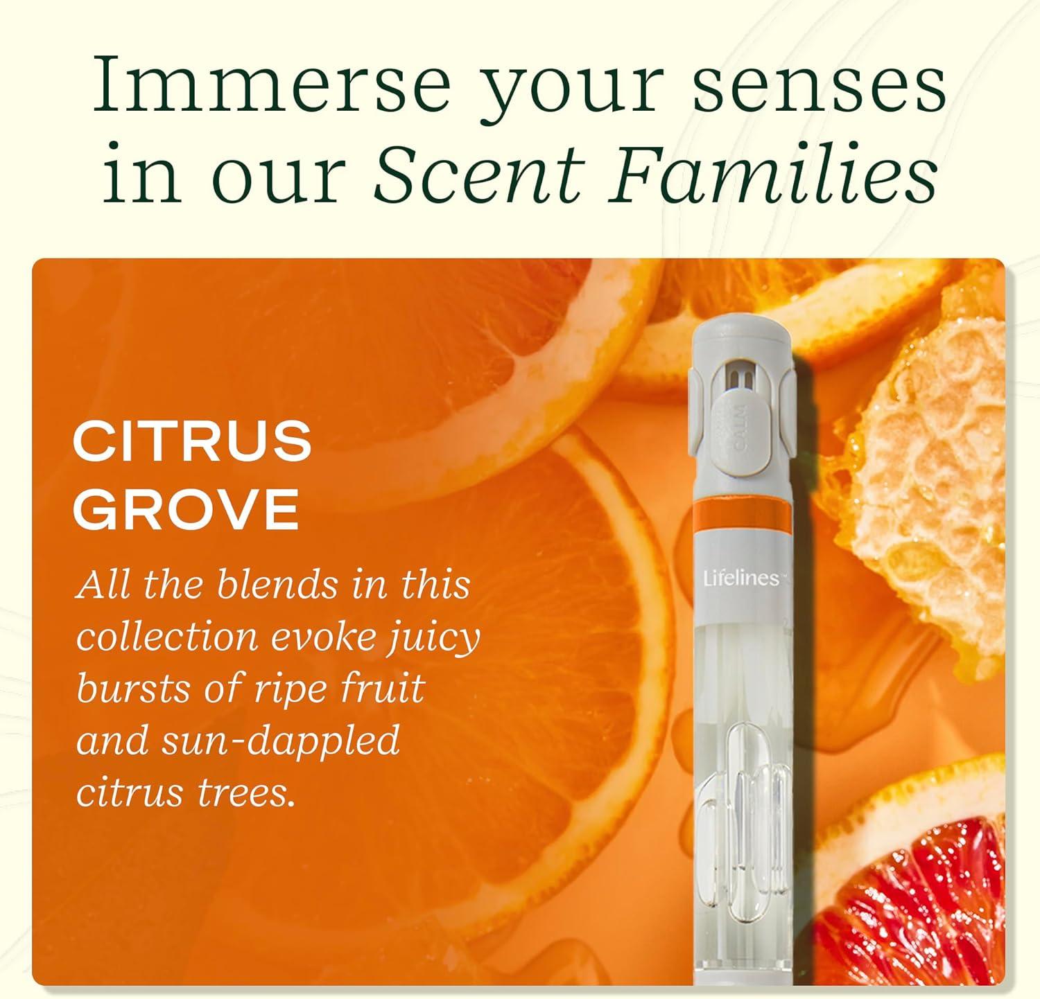 Lifelines Citrus Grove Essential Oil Blends with Pen Diffuser: Aromatherapy Gift Set, No Battery Required