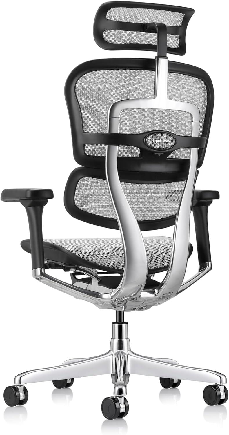Eurotech Seating Ergohuman Executive Chair with Headrest
