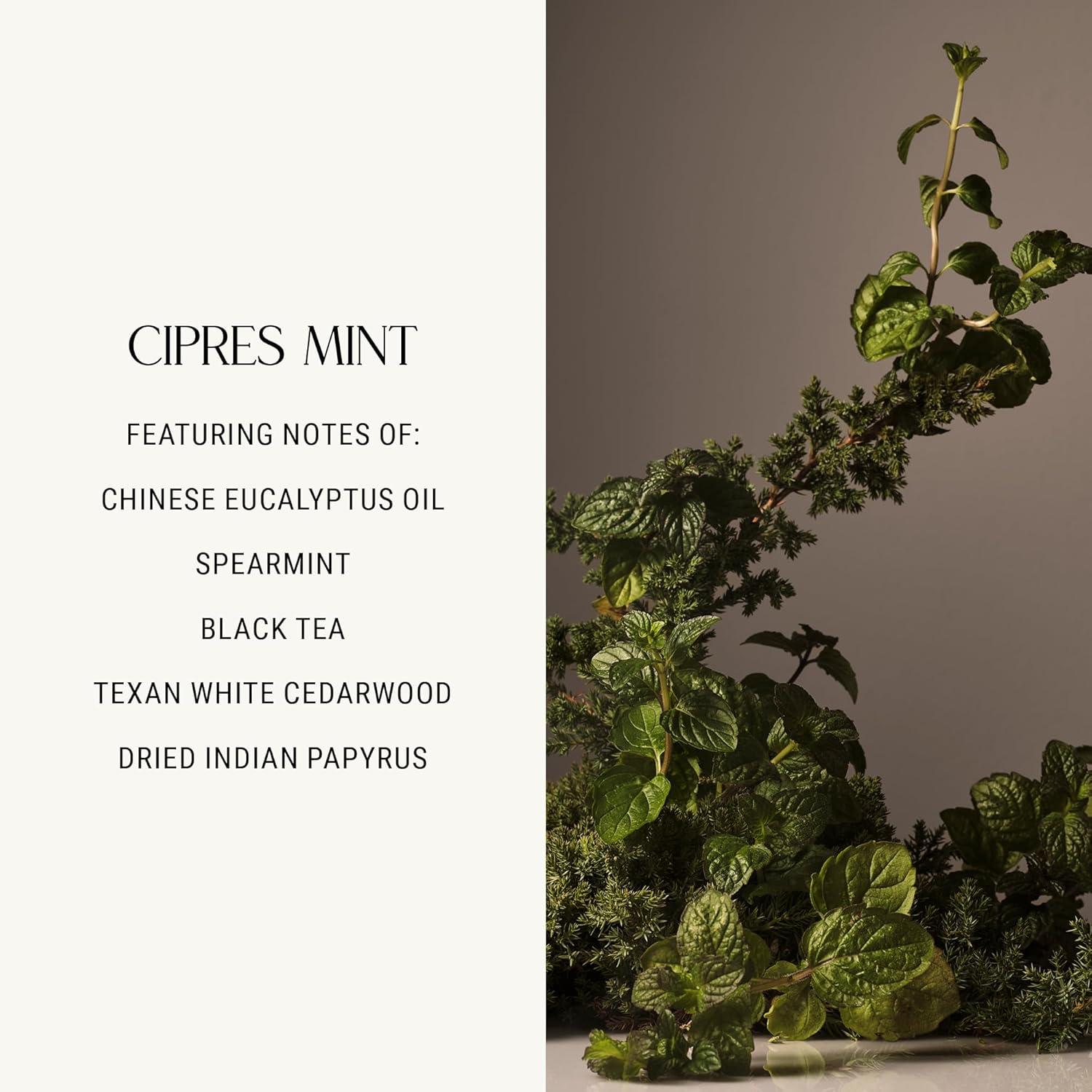 Cece Scented White Soy Candle in Ceramic Vessel