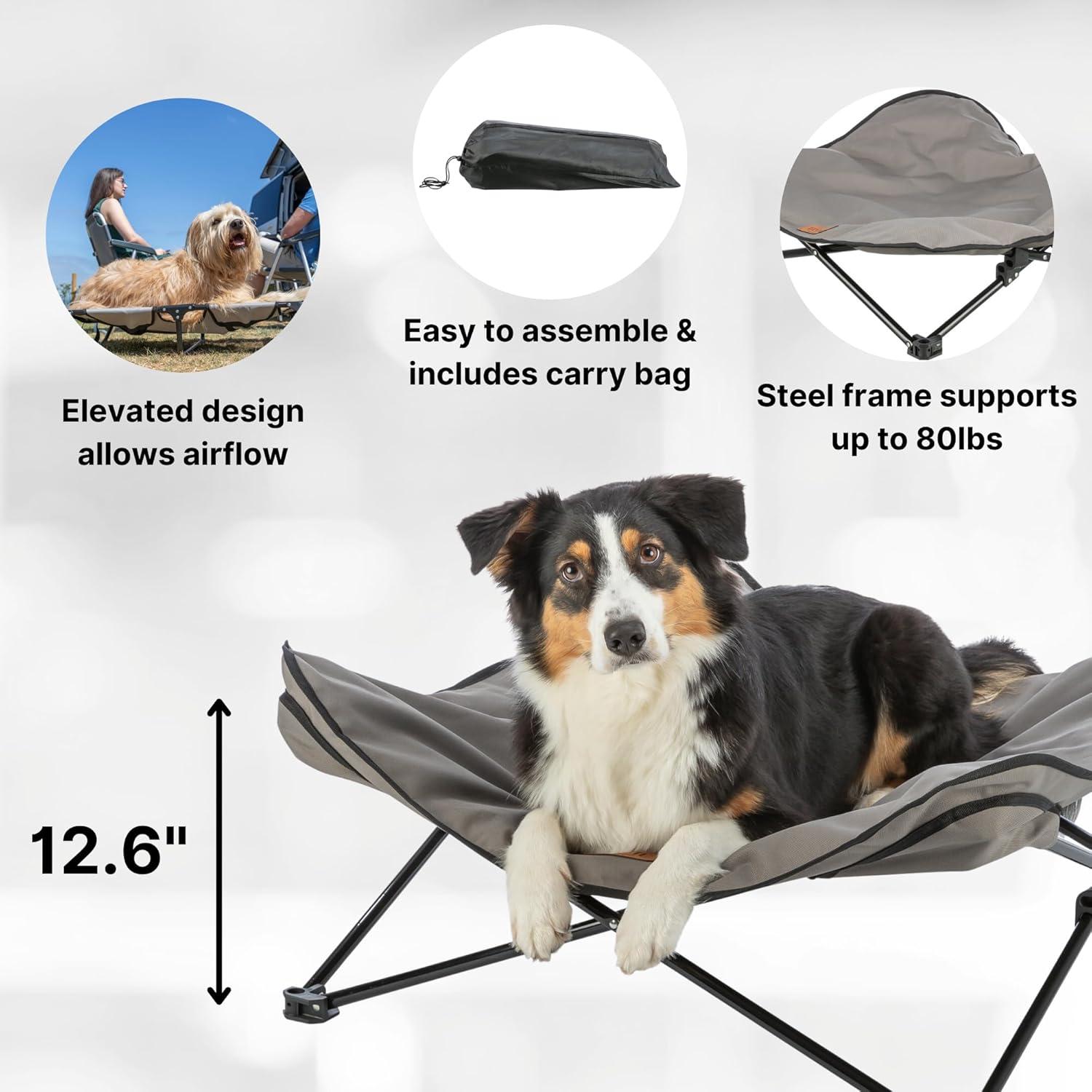 TRIXIE Camping Cot for Dogs, Elevated Dog Bed, Folding Padded Pet Bed, Raised Travel Lounger for Dogs