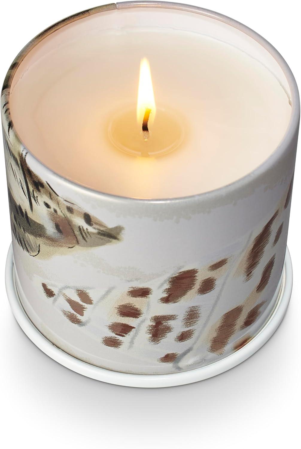 Amber Driftwood Scented Vegan Candle in Tin