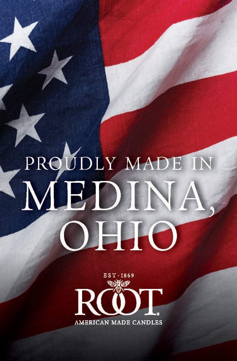 12 Piece Unscented Taper Candle Set