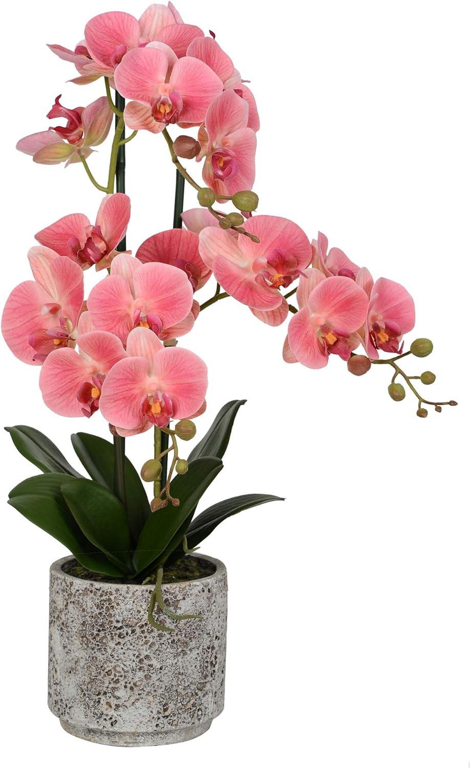 Vickerman 24" Artificial Pink Phalaenopsis In Cement Pot.