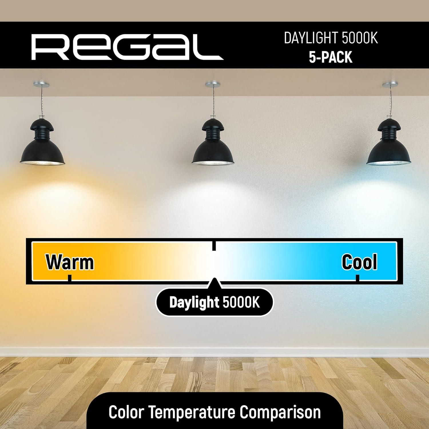 60 Watt Equivalent A19 E26/Medium (Standard) 5000K LED Bulb