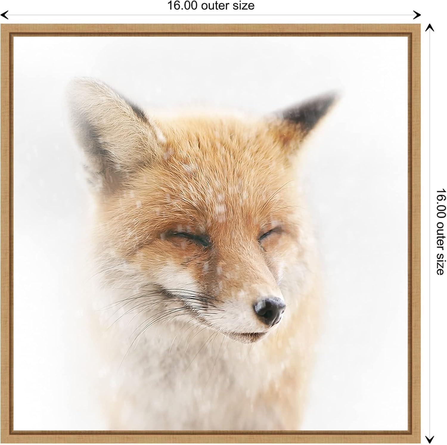 Satisfied Fox Framed Canvas Print in Maple Frame, 16 x 16 Inches