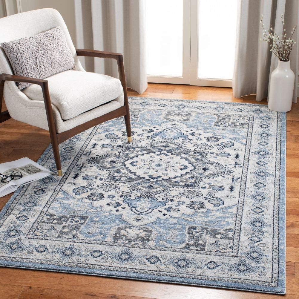 Charleston CHL431 Power Loomed Area Rug  - Safavieh